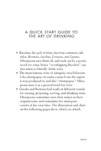 A Quick Start Guide to the Art of Drinking