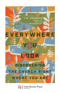 Everywhere You Look by Tim Soerens