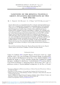 Taxonomy of the Begonia Tiliifolia Group, Including Descriptions of Two New Species