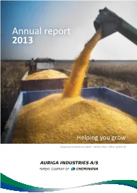 Annual Report 2013
