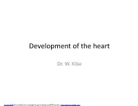 Development of the Heart