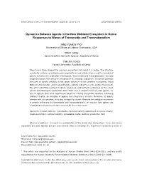 Dynamics Between Agents in the New Webtoon Ecosystem in Korea: Responses to Waves of Transmedia and Transnationalism