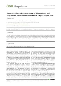 Genetic Evidence for Occurrence of Macrovipera Razii (Squamata, Viperidae) in the Central Zagros Region, Iran