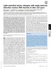 Light-Controlled Twister Ribozyme with Single-Molecule Detection Resolves RNA Function in Time and Space