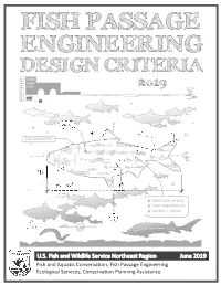 Fish Passage Engineering Design Criteria 2019