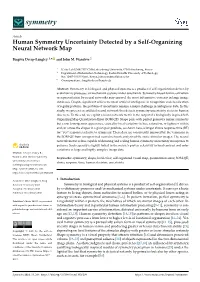 Human Symmetry Uncertainty Detected by a Self-Organizing Neural Network Map