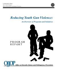 Reducing Youth Gun Violence: an Overview of Programs and Initiatives
