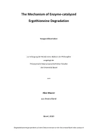 The Mechanism of Enzyme-Catalyzed Ergothioneine Degradation
