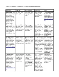 What's That Sweetener? (A Cheat Sheet to Natural and Unnatural Sweeteners)