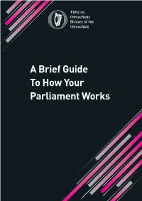 How Parliament Works File
