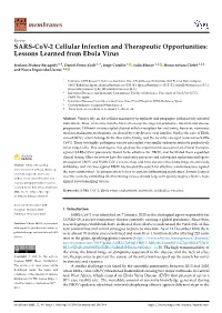 Lessons Learned from Ebola Virus