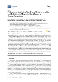 Preliminary Analysis of the Diet of Triturus Carnifex and Pollution in Mountain Karst Ponds in Central Apennines