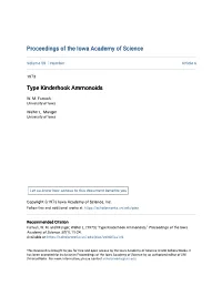 Type Kinderhook Ammonoids