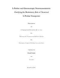 L-Proline and Glutamatergic Neurotransmission: Clarifying The
