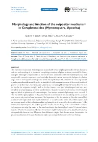 Morphology and Function of the Ovipositor Mechanism in Ceraphronoidea