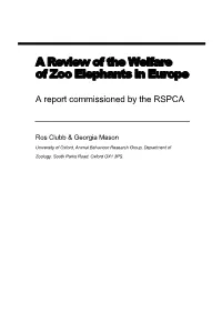 A Review of the Welfare of Zoo Elephants in Europe