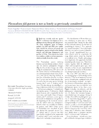 Plasmodium Falciparum Is Not As Lonely As Previously Considered