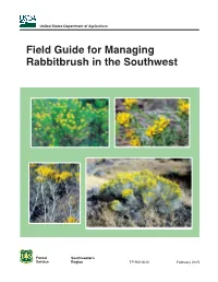 Field Guide for Managing Rabbitbrush in the Southwest