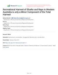Recreational Harvest of Sharks and Rays in Western Australia Is Only a Minor Component of the Total Harvest