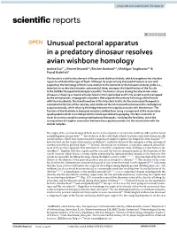 Unusual Pectoral Apparatus in a Predatory Dinosaur Resolves Avian