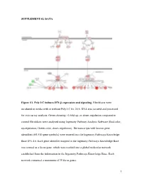 1 SUPPLEMENTAL DATA Figure S1. Poly I:C Induces IFN-Β Expression