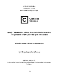 Testing a Mesendoderm Protocol in Smad5 and Smad1/5 Depleted Embryonic Stem Cells for Primordial Germ Cell Induction