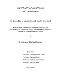 To the Edge of Apoptotic Cell Death and Back