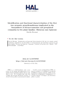 Identification and Functional Characterization of the First Two