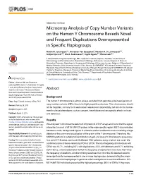 Microarray Analysis of Copy Number Variants on the Human Y Chromosome Reveals Novel and Frequent Duplications Overrepresented in Specific Haplogroups