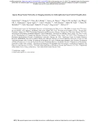 Sparse Deep Neural Networks on Imaging Genetics for Schizophrenia Case-Control Classification