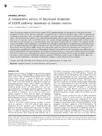 A Comparative Survey of Functional Footprints of EGFR Pathway Mutations in Human Cancers