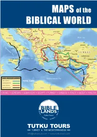 Biblical World