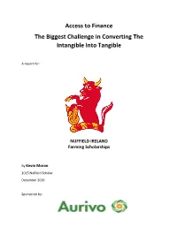 Access to Finance the Biggest Challenge in Converting the Intangible Into Tangible