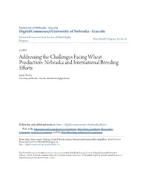Addressing the Challenges Facing Wheat Production: Nebraska and International Breeding Efforts Sarah Blecha University of Nebraska - Lincoln, Sarah.Blecha16@Gmail.Com