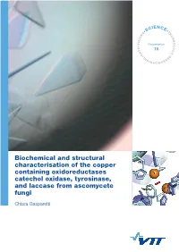 Biochemical and Structural Characterisation of the Copper Containing