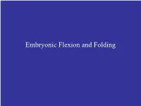 Flexion [Recovered]