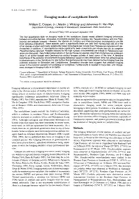 Foraging Modes of Cordyliform Lizards