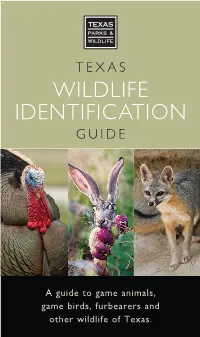 Texas Wildlife Identification Guide