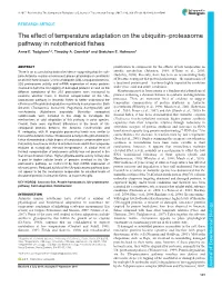 The Effect of Temperature Adaptation on the Ubiquitin–Proteasome Pathway in Notothenioid Fishes Anne E