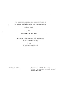 The Molecular Cloning and Characterisation