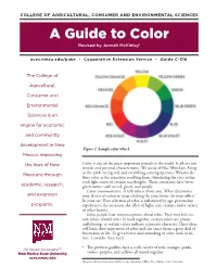 C-316: a Guide to Color