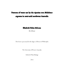 Patterns of Water Use by the Riparian Tree Melaleuca Argentea in Semi-Arid Northwest Australia