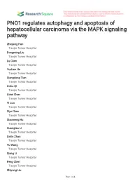 PNO1 Regulates Autophagy and Apoptosis of Hepatocellular Carcinoma Via the MAPK Signaling Pathway