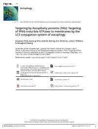 Targeting by Autophagy Proteins (TAG): Targeting of IFNG-Inducible Gtpases to Membranes by the LC3 Conjugation System of Autophagy