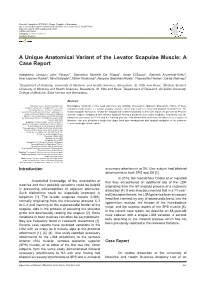 A Unique Anatomical Variant of the Levator Scapulae Muscle: a Case Report