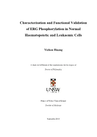 Characterisation and Functional Validation of ERG Phosphorylation in Normal Haematopoietic and Leukaemic Cells