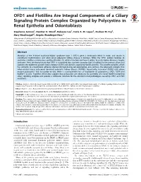 OFD1 and Flotillins Are Integral Components of a Ciliary Signaling Protein Complex Organized by Polycystins in Renal Epithelia and Odontoblasts