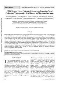 CRB1-Related Leber Congenital Amaurosis: Reporting Novel Pathogenic Variants and a Brief Review on Mutations Spectrum
