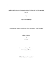 Metabolic and Behavioural Response of Drosophila Nigrospiracula to Ectoparasite Infection