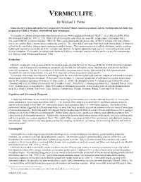 VERMICULITE by Michael J